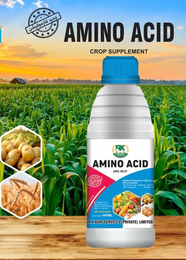 Amino Acid